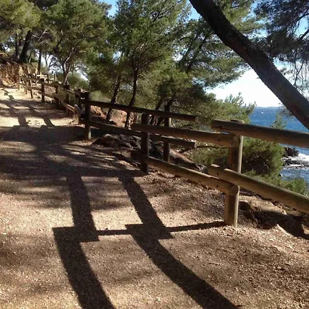 Marycel T2 Avec Terrasse Wifi Clim Et Garage * Bandol